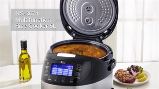 پلوپز آرام پز ناسا الکتریک NS-3074