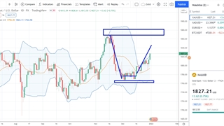 حرکت قیمت در زمان برخورد با مقاومت