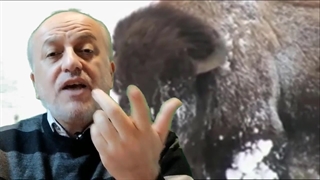 نهادینه کردن اثرپیگمالیون چه سودی خواهد داشت؟