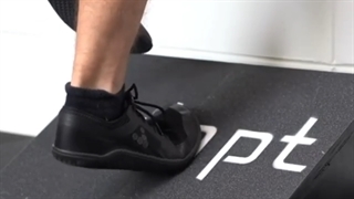 عضله تیبیالیس