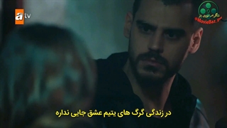 دانلود سریال ترکی گرگ تنها با زیرنویس فارسی کانال تلگرامی ما @MovieBaz_pw