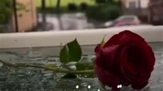 تو مثل نم نم بارون