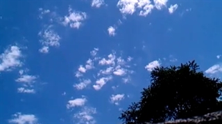 فیلمبردار-حسام الدین شفیعیان