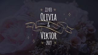 کلیپ فرمالیته عروسی ـ دانلود پروژه عروسی پریمیر آماده و رایگان ـ ادوبیش