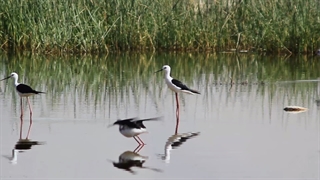 چهارمحال وبختیاری شهرکرد