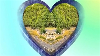 محمدرضا شجریان - سرخوشان مست