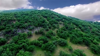 معرفی بختیاری