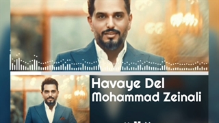 دانلود آهنگ جدید محمد زینعلی به نام هوای دل