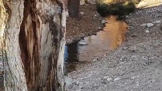 قادرآباد فسا