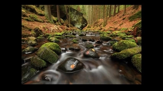 آهنگ تو بودی که فکر میکردی