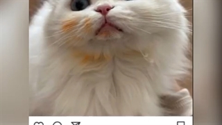 ابدیت جدید پارک شین هه ساعت (۱۱ صبح )دقیقا سه ساعت پیش