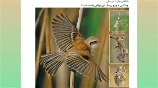 علوم‌ درس دهم