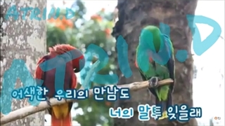 اهنگ Turn Black از پارک شین هه