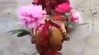 کلیپ بامزه و خنده دار