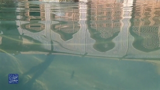 مسجد نصیرالملک