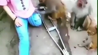 میگن رو نده همینه ها !