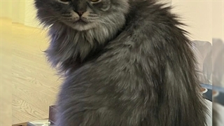 آپدیت های امروز نفس بی نام(پارک شین هه) FULL HD کمیاب کامل(وای هری) اختصاصی کانال تنها منبع اصلی