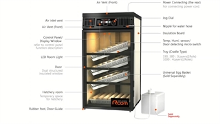 آیا ستر هچر همزمان در دستگاه جوجه کشی واقعیت دارد یا نه؟