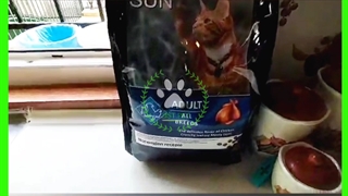 غذای خشک گربه میوسان پانیا زیست... سفارش 09351875047...instagram : ZIST. PET