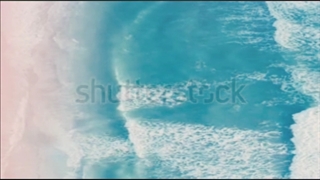 طبیعت ریبا است کافی است دقت کنید