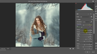 خرید پریست کمرا راو