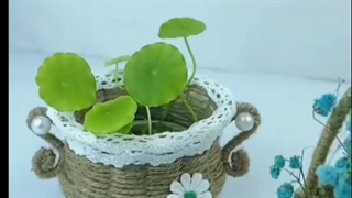 ترفند - دکوراسیون فضایی خانه