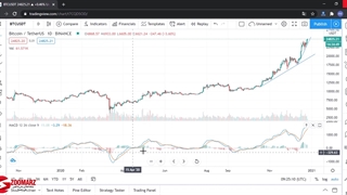 آموزش ویدویی معامله گری و کار با اندیکاتور MACD