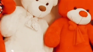 تولیدی عروسک پولیشی دو مارال - بازار صالح آباد تهران