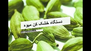 دستگاه خشک کن میوه با اقساط ماهانه . خشک کن صنعتی و خانگی سبزی