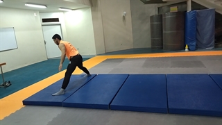 ژیمناستیک ترم