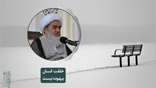 خلقت انسان بیهوده نیست(آیت الله العظمی مظاهری)