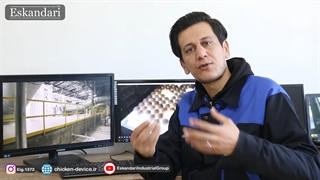 آیا نطفه سنجی در جوجه کشی نیاز است ؟ نطفه سنجی در دستگاه های صنعتی انجام میشود ؟