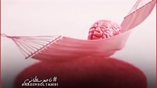 داشتن مغز دلیل بر انسان بودن نیست