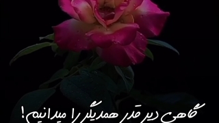 ما انسان ها گاهی دیر قدر همدیگر را میدانیم