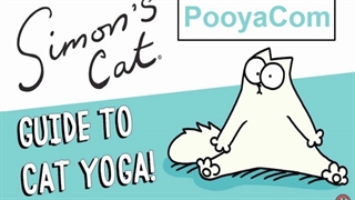 سایمون گربه - 28