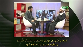 وهابیت حکم شرک و قتل شیعه و سنی را صادر کرده اند