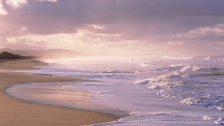 موزیک ویدیو آهنگ شالت با صدای راغب