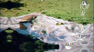 تبیرک سال نو | سال 1401 | خاطره خدادادی