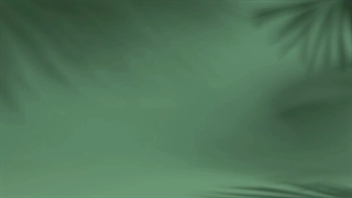 خرید تخمه هندوانه