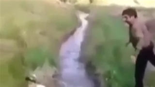 انگار نه انگار........