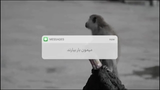 علی شریعتی (جامعه میمون وار)