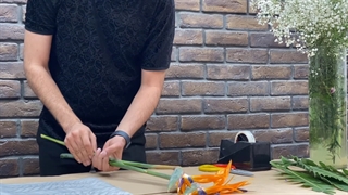 دسته گل مرغ بهشتی ( استرلیتزیا ) | علی ولی | bird of paradise bouquet