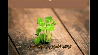 ترانه:با افسونی بر قلبم نشستی