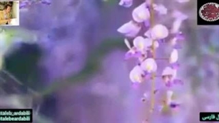 ادبستان | اشعار عاشقانه طالب | شعر فارسی | غزل عارفانه  تمدید نگه