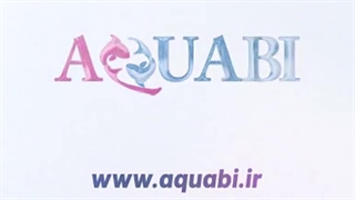 واتر پمپ کف کش  سوبو WP-500D