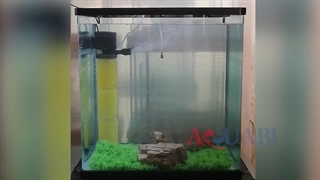 فیلتر داخلی آکواریوم سوبو مدل WP-6001