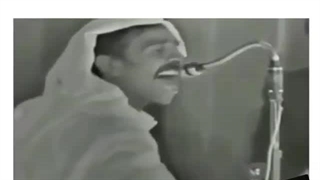 خرمگس های خونه ی ما ساعت 5 صبح