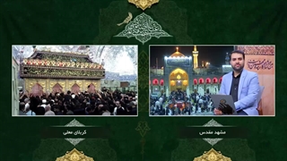 سفرِ دل‌های بی‌قرار