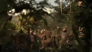 دایی ارمیس گوریل