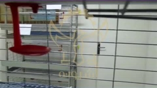 قفس کبک چهار طبقه آشیونه